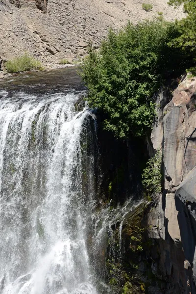 DSC_3774 (Large).JPG